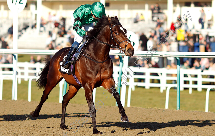 Court-House-0002 
 COURT HOUSE (William Buick)
Lingfield 23 Feb 2019 - Pic Steven Cargill / Racingfotos.com