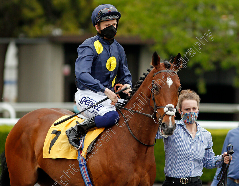 Goolwa-0001 
 GOOLWA (David Probert)
Kempton 2 Jun 2021 - Pic Steven Cargill / Racingfotos.com