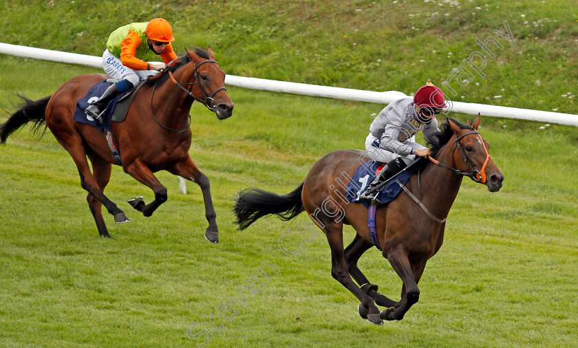 Aljalela-0002 
 ALJALELA (Thore Hammer Hansen) beats O'REILLY'S PASS (left) in The Heed Your Hunch At Betway Handicap
Lingfield 7 Sep 2020 - Pic Steven Cargill / Racingfotos.com