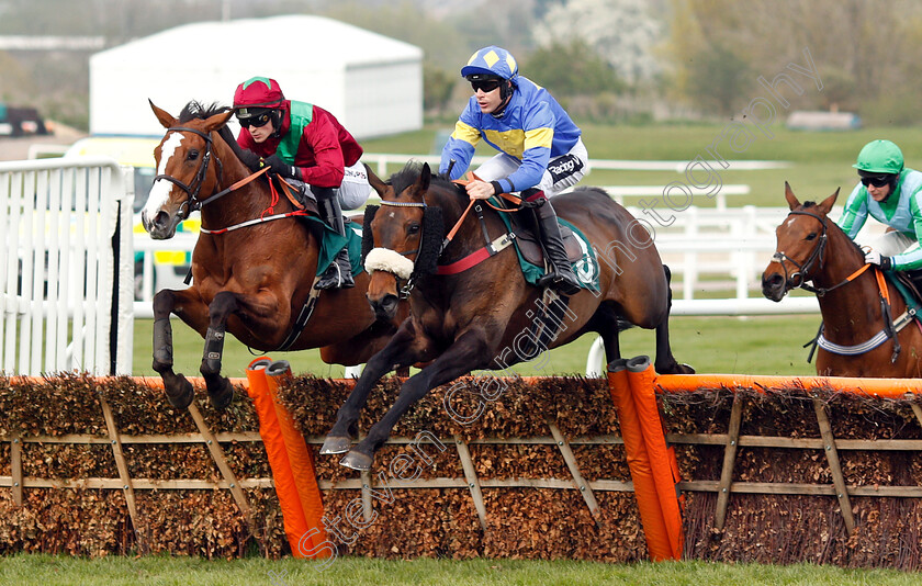 Brillare-Momento-0001 
 BRILLARE MOMENTO (right, Aidan Coleman) with AGUSTA GOLD (left) 
Cheltenham 18 Apr 2019 - Pic Steven Cargill / Racingfotos.com