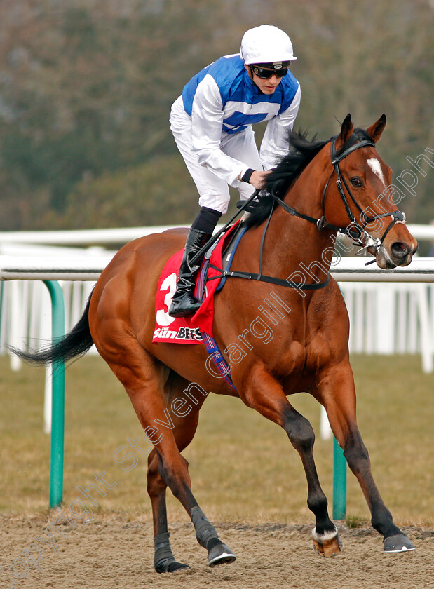 Humbert-0002 
 HUMBERT (James Doyle) Lingfield 3 Mar 2018 - Pic Steven Cargill / Racingfotos.com