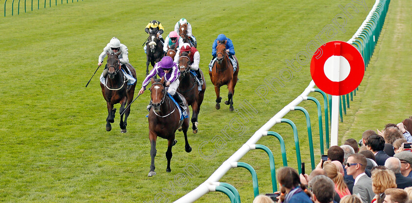 Kew-Gardens-0002 
 KEW GARDENS (Ryan Moore) wins The GHodolphin Flying Start Zetland Stakes Newmarket 14 Oct 2017 - Pic Steven Cargill / Racingfotos.com