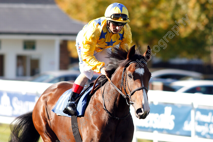 Time-Immemorial-0002 
 TIME IMMEMORIAL (Andrea Atzeni)
Salisbury 3 Oct 2018 - Pic Steven Cargill / Racingfotos.com