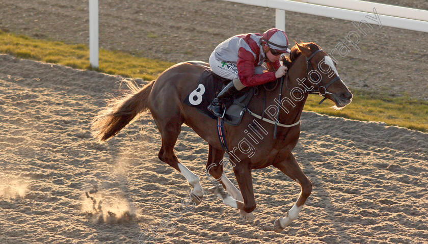 Estrela-Star-0005 
 ESTRELA STAR (Kieran O'Neill) wins The Book Online At chelmsfordcityracecourse.com Handicap
Chelmsford 11 Feb 2020 - Pic Steven Cargill / Racingfotos.com