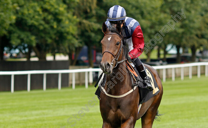 Asian-Tide-0001 
 ASIAN TIDE (Saffie Osborne)
Newmarket 28 Jul 2023 - Pic Steven Cargill / Racingfotos.com