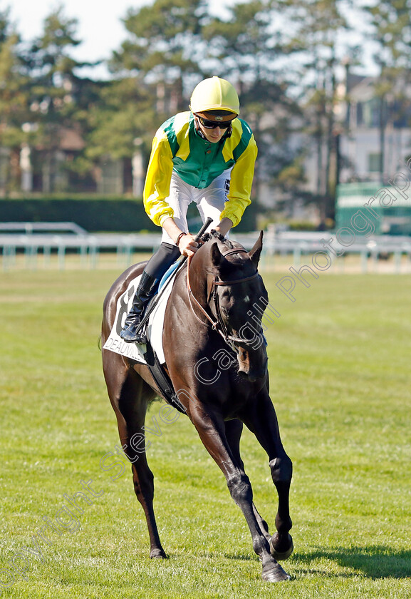 Amanda s-Choice-0001 
 AMANDA'S CHOICE (S Planque)
Deauville 6 Aug 2022 - Pic Steven Cargill / Racingfotos.com