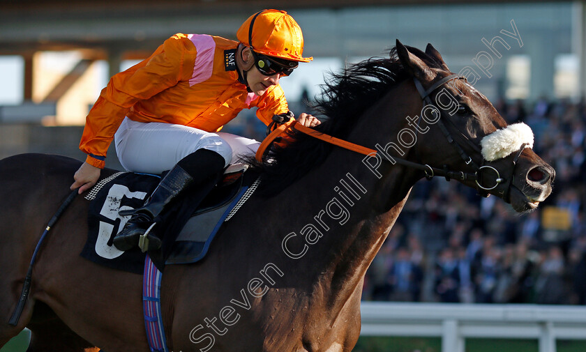 Rajinksy-0005 
 RAJINSKY (Pierre-Louis Jamin) wins The 25 Years Since Frankie's Magnificent Seven Handicap
Ascot 1 Oct 2021 - Pic Steven Cargill / Racingfotos.com