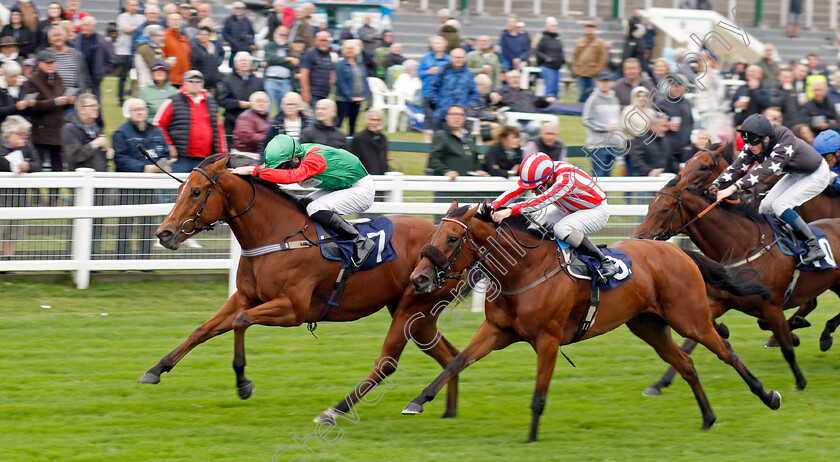 Thunder-Star-0004 
 THUNDER STAR (Lewis Edmunds) beats GEMINI STAR (right) in The Stephenson Smart Accountants To Bet On Handicap
Yarmouth 19 Sep 2023 - Pic Steven Cargill / Racingfotos.com