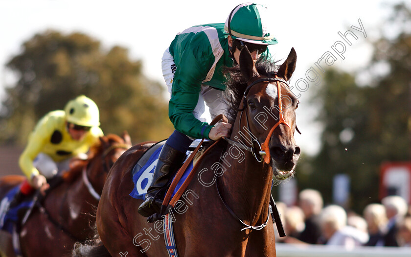 Kaloor-0007 
 KALOOR (Jim Crowley) wins The PKF Francis Clark EBF Novice Stakes Div1
Salisbury 3 Oct 2018 - Pic Steven Cargill / Racingfotos.com