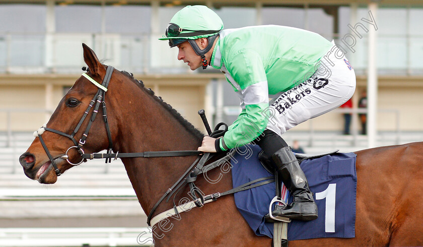 Emraan-0003 
 EMRAAN (Richard Kingscote) before The Bombardier Golden Beer Novice Stakes
Lingfield 14 Feb 2020 - Pic Steven Cargill / Racingfotos.com