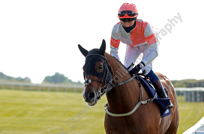 Equally-Fast-0001 
 EQUALLY FAST (Joshua Bryan)
Bath 23 Jun 2021 - Pic Steven Cargill / Racingfotos.com