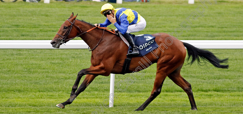 Goliath-0004 
 GOLIATH (Christophe Soumillon) wins The King George VI and Queen Elizabeth Stakes
Ascot 27 Jul 2024 - Pic Steven Cargill / Racingfotos.com