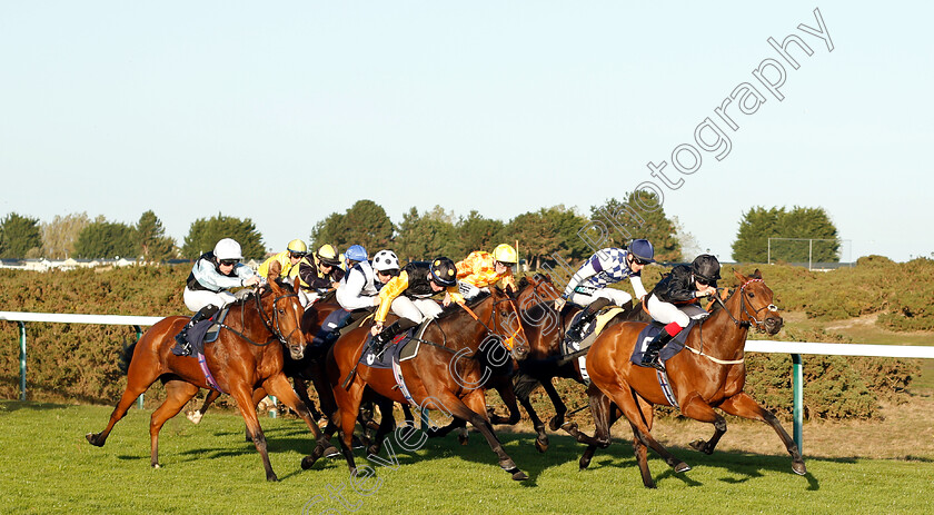 Sudona-0001 
 SUDONA (left, Jack Mitchell) beats DEBATABLE (right) and FANFAIR (centre) in The Jark (KL) Ltd Handicap
Yarmouth 23 Oct 2018 - Pic Steven Cargill / Racingfotos.com