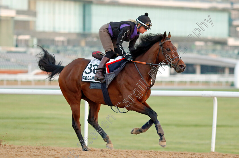 Green-Team-0001 
 GREEN TEAM training at Meydan, Dubai
2 Feb 2023 - Pic Steven Cargill / Racingfotos.com