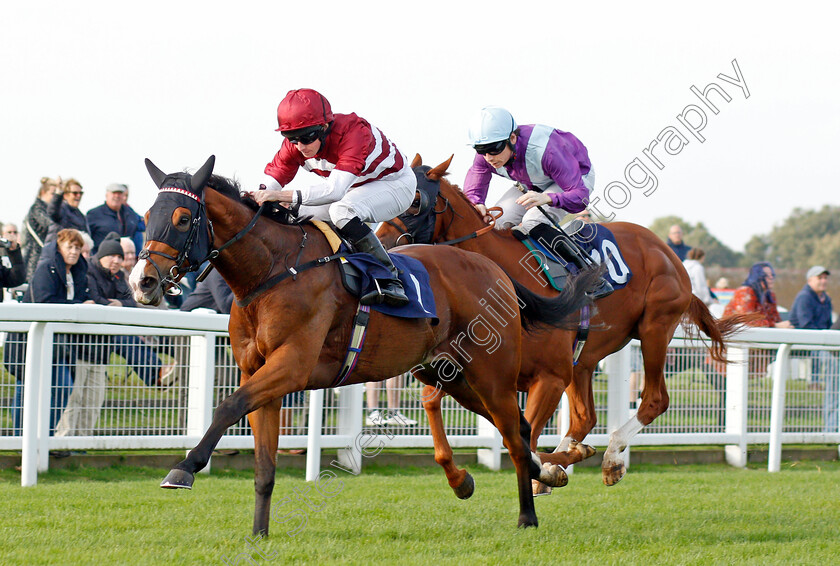 Pocket-The-Profit-0004 
 POCKET THE PROFIT (Ryan Moore) wins The Free Replays On attheraces.com Nursery
Yarmouth 19 Oct 2021 - Pic Steven Cargill / Racingfotos.com