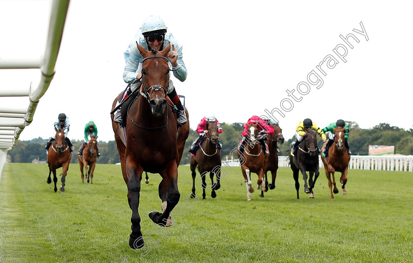 Genetics-0002 
 GENETICS (Andrasch Starke) wins The Dubai Duty Free Shergar Cup Challenge 
Ascot 11 Aug 2018 - Pic Steven Cargill / Racingfotos.com