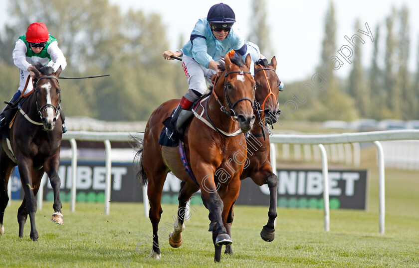 Thunderous-0004 
 THUNDEROUS (Franny Norton) wins The Denford Stakes 
Newbury 17 Aug 2019 - Pic Steven Cargill / Racingfotos.com