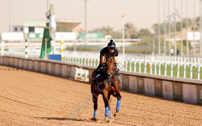 Havnameltdown-0004 
 HAVNAMELTDOWN training for The Saudi Derby
King Abdulaziz Racecourse, Kingdom Of Saudi Arabia, 23 Feb 2023 - Pic Steven Cargill / Racingfotos.com