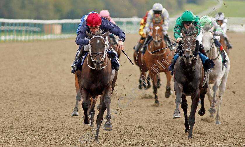 Reine-De-Vitesse-0005 
 REINE DE VITESSE (left, John Egan) beats SHERIFFMUIR (right) in The Starsports.bet Maiden Stakes
Lingfield 3 Oct 2019 - Pic Steven Cargill / Racingfotos.com