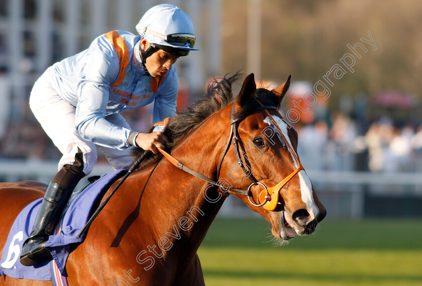 Lexington-Warlord-0001 
 LEXINGTON WARLORD (Sean Levey)
Nottingham 20 Apr 2019 - Pic Steven Cargill / Racingfotos.com