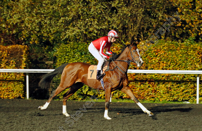 Laser-Guided-0001 
 LASER GUIDED (William Buick)
Kempton 16 Nov 2022 - Pic Steven Cargill / Racingfotos.com