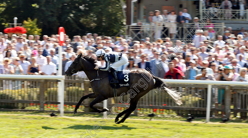 Alpha-Centauri-0005 
 ALPHA CENTAURI (Colm O'Donoghue) wins The Tattersalls Falmouth Stakes
Newmarket 13 Jul 2018 - Pic Steven Cargill / Racingfotos.com