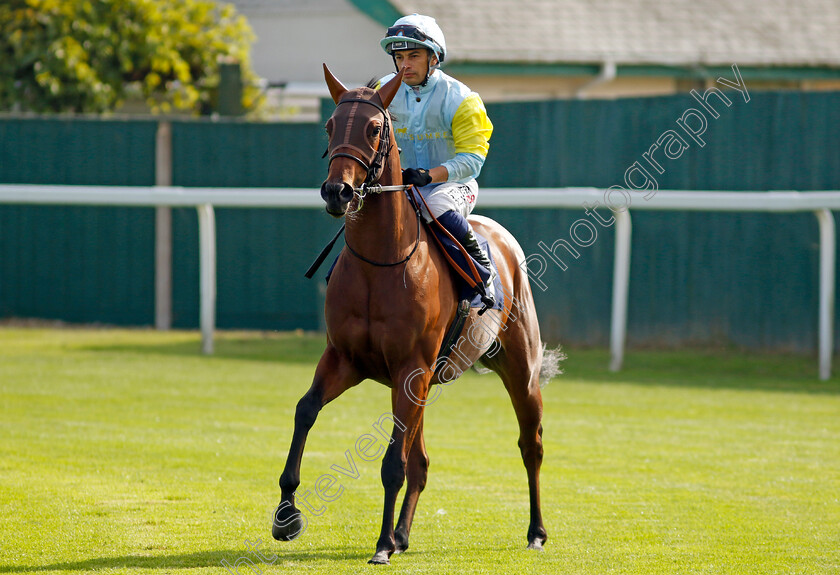 Maissara-0001 
 MAISSARA (Silvestre de Sousa)
Yarmouth 18 Sep 2024 - Pic Steven Cargill / Racingfotos.com