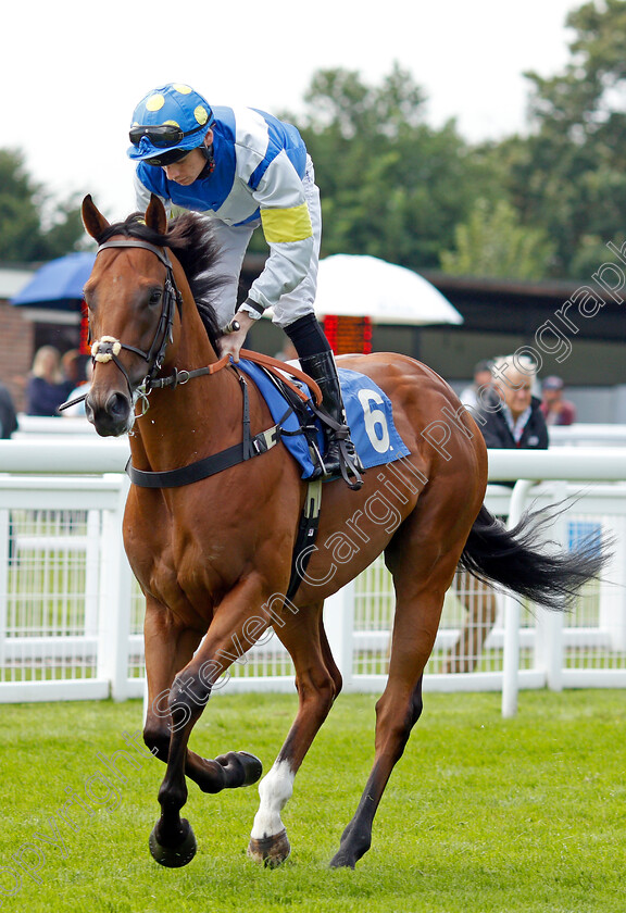 Shamadaan-0001 
 SHAMADAAN (Callum Shepherd)
Salisbury 12 Aug 2021 - Pic Steven Cargill / Racingfotos.com