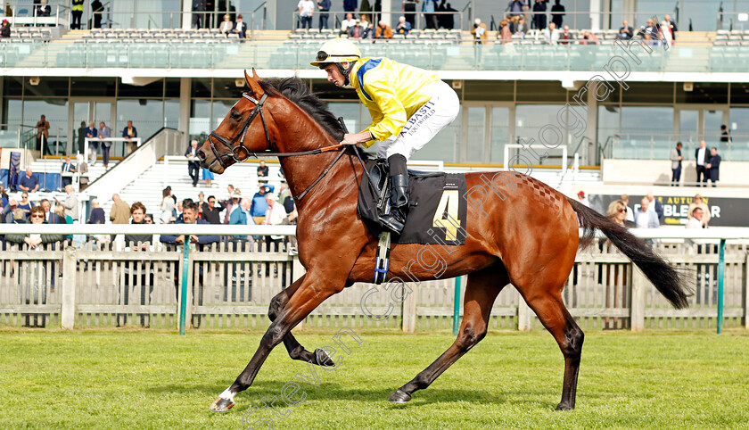 Garden-Route-0002 
 GARDEN ROUTE (Ryan Moore)
Newmarket 22 Sep 2022 - Pic Steven Cargill / Racingfotos.com