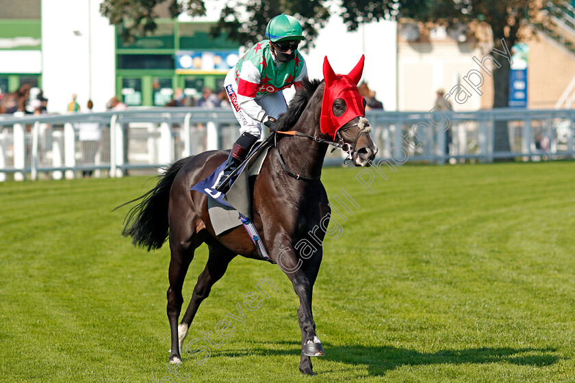 The-Jean-Genie-0001 
 THE JEAN GENIE (Hollie Doyle)
Yarmouth 15 Sep 2020 - Pic Steven Cargill / Racingfotos.com