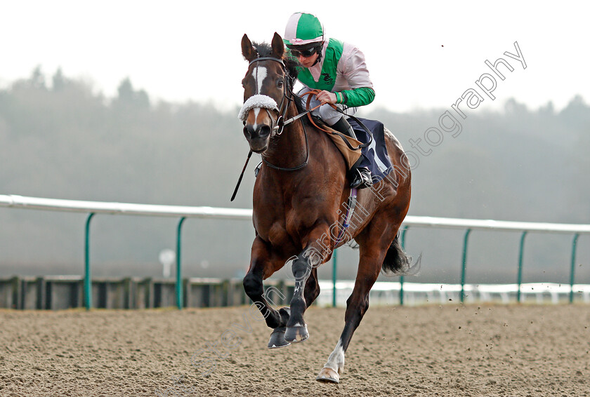 Lady-Perignon-0007 
 LADY PERIGNON (Jason Watson) wins The 32Red.com Fillies Handicap Lingfield 13 Jan 2018 - Pic Steven Cargill / Racingfotos.com