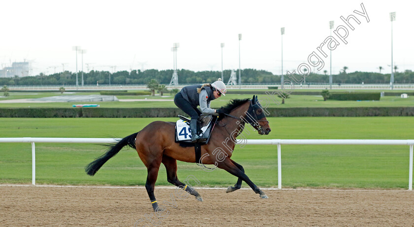 Mission-Command-0001 
 MISSION COMMAND training at the Dubai Racing Carnival 
Meydan 2 Jan 2025 - Pic Steven Cargill / Racingfotos.com