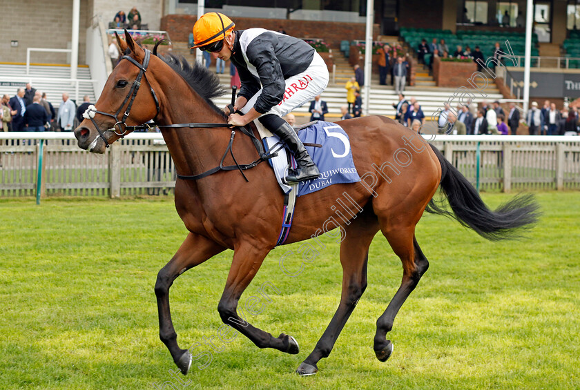 Arion-0001 
 ARION (Tom Marquand)
Newmarket 23 Sep 2022 - Pic Steven Cargill / Racingfotos.com