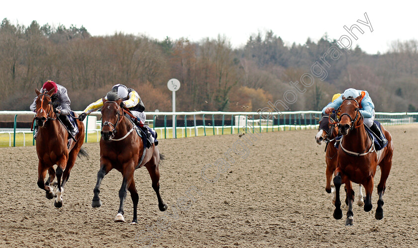 Breath-Of-Sun-0004 
 BREATH OF SUN (2nd left, Adam Kirby) beats IF YOU DARE (right) and ZWELELA (left) in The Betway Novice Stakes
Lingfield 6 Mar 2021 - Pic Steven Cargill / Racingfotos.com