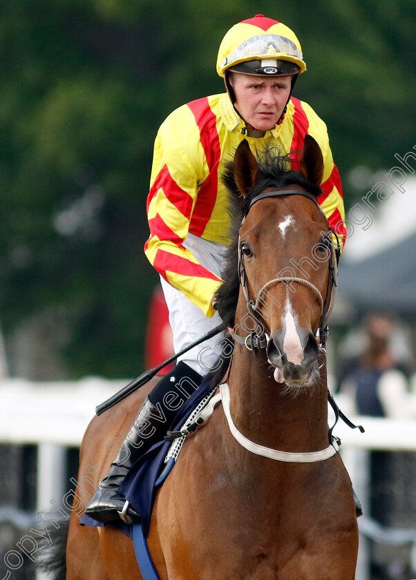 Fernando-Rah-0002 
 FERNANDO RAH (John Fahy)
Newcastle 24 Jun 2022 - Pic Steven Cargill / Racingfotos.com