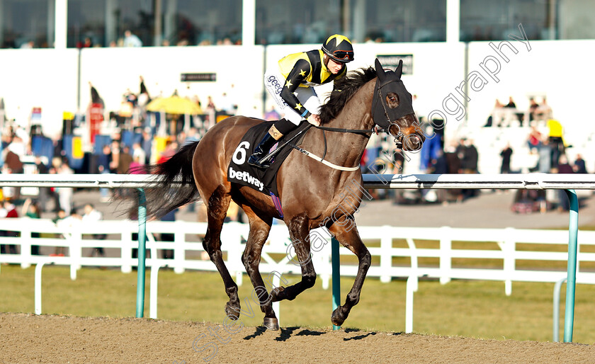 Pactolus-0001 
 PACTOLUS (Callum Rodriguez)
Lingfield 23 Feb 2019 - Pic Steven Cargill / Racingfotos.com