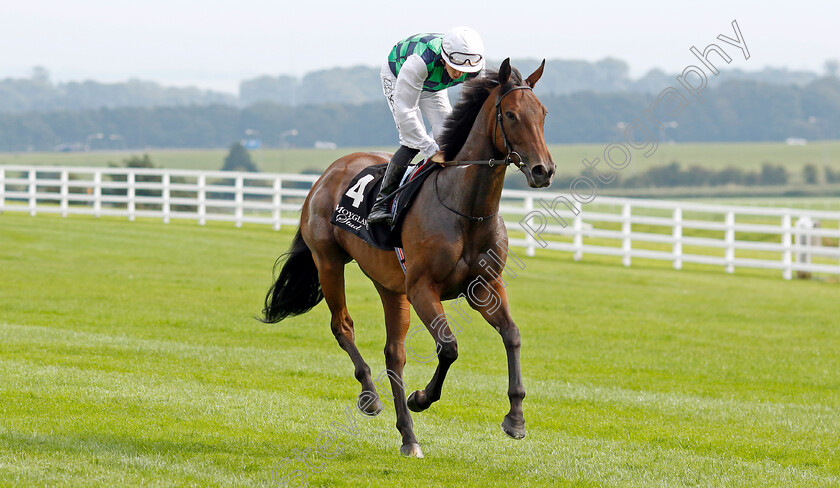 Pearls-And-Rubies-0001 
 PEARLS AND RUBIES (Dylan Brown McMonagle)
The Curragh 10 Sep 2023 - Pic Steven Cargill / Racingfotos.com