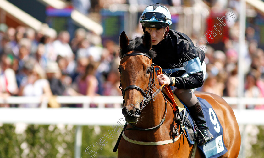 I-Can-Boogy-0001 
 I CAN BOOGY (Rowan Scott)
Chester 9 May 2024 - Pic Steven Cargill / Racingfotos.com