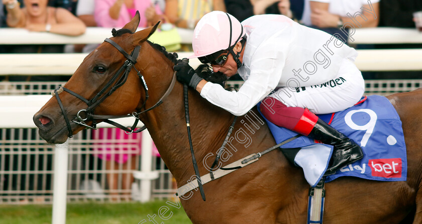 Absurde-0005 
 ABSURDE (Frankie Dettori) wins The Sky Bet Ebor
York 26 Aug 2023 - Pic Steven Cargill / Racingfotos.com