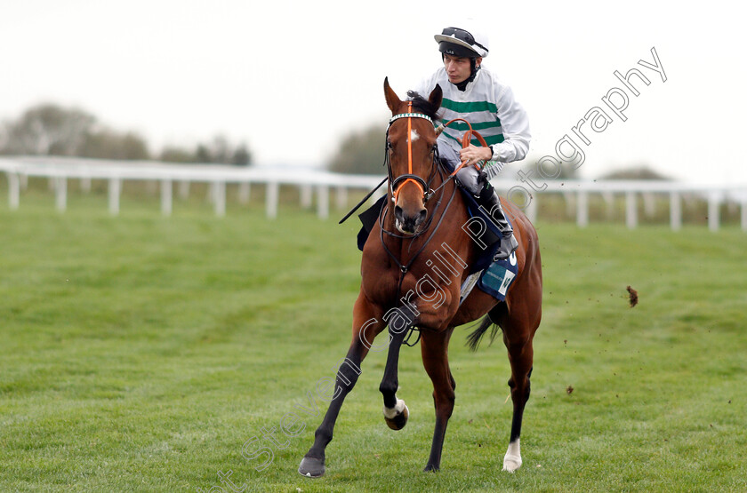 Altra-Vita-0001 
 ALTRA VITA (Luke Morris)
Bath 17 Oct 2018 - Pic Steven Cargill / Racingfotos.com