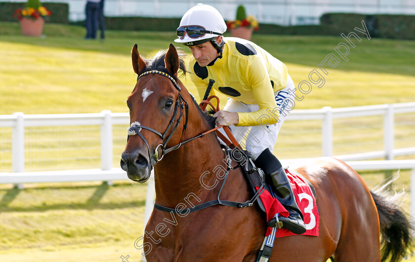 Finest-Sound-0001 
 FINEST SOUND (Dane O'Neill)
Sandown 30 Aug 2019 - Pic Steven Cargill / Racingfotos.com