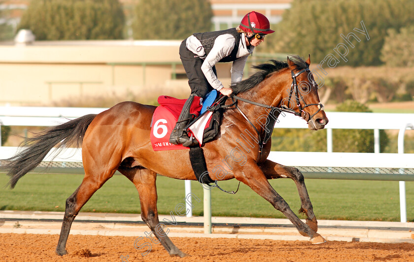 Downdraft-0002 
 DOWNDRAFT preparing for The Turf Handicap
Riyadh Racetrack, Kingdom Of Saudi Arabia, 27 Feb 2020 - Pic Steven Cargill / Racingfotos.com