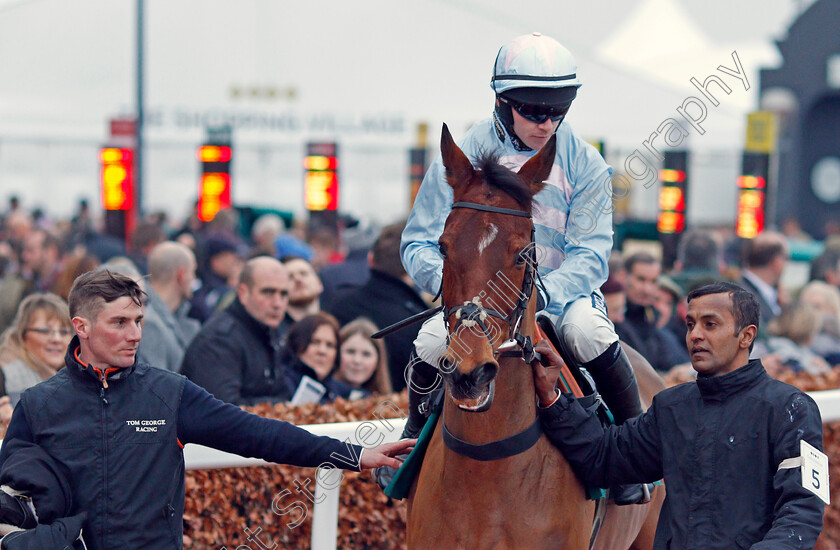 Summerville-Boy-0002 
 SUMMERVILLE BOY (Jonathan Burke) before The Dornan Engineering Relkeel Hurdle
Cheltenham 1 Jan 2020 - Pic Steven Cargill / Racingfotos.com