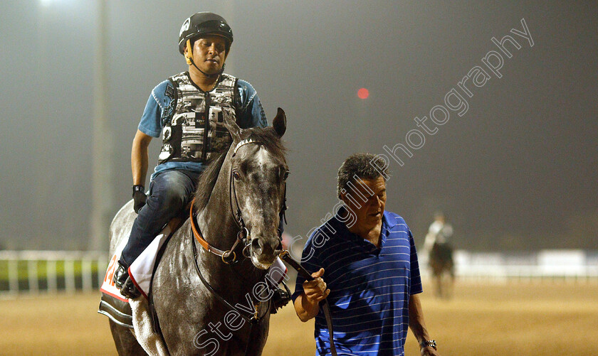 Pavel-0003 
 PAVEL training for The Dubai World Cup
Meydan 28 Mar 2019 - Pic Steven Cargill / Racingfotos.com