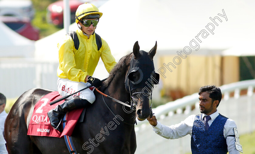 Maljoom-0002 
 MALJOOM (Tom Marquand)
Goodwood 31 Jul 2024 - Pic Steven Cargill / Racingfotos.com