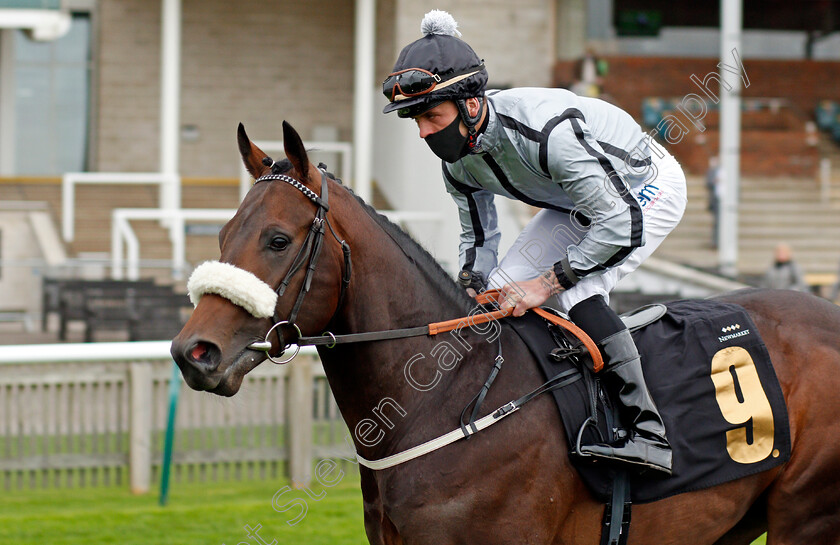 North-Of-Amazing-0002 
 NORTH OF AMAZING (Clifford Lee)
Newmarket 30 Oct 2020 - Pic Steven Cargill / Racingfotos.com