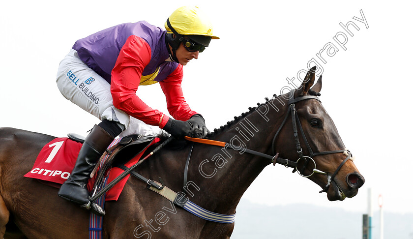 Dashel-Drasher-0008 
 DASHEL DRASHER (Matt Griffiths) wins The Citipost Novices Hurdle
Cheltenham 17 Apr 2019 - Pic Steven Cargill / Racingfotos.com