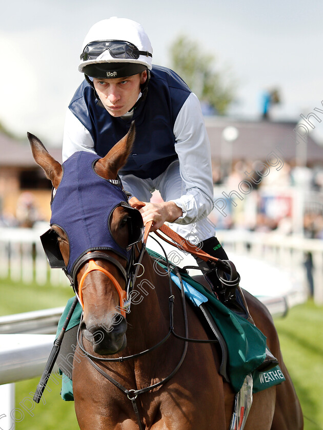 St-Michel-0001 
 ST MICHEL (Luke Morris)
York 24 Aug 2018 - Pic Steven Cargill / Racingfotos.com