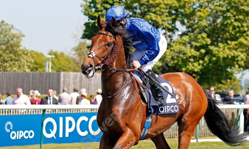 Alqamar-0001 
 ALQAMAR (Brett Doyle) Newmarket 6 May 2018 - Pic Steven Cargill / Racingfotos.com