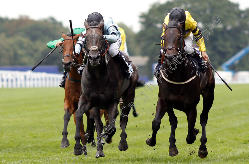 Green-Power-0003 
 GREEN POWER (right, Joao Moreira) beats GEORGE OF HEARTS (left) in The Dubai Duty Free Shergar Cup Sprint
Ascot 11 Aug 2018 - Pic Steven Cargill / Racingfotos.com